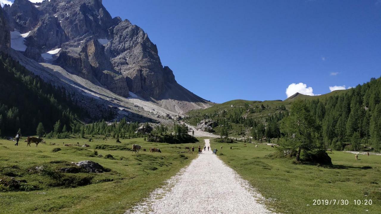 Il Covo Dello Sciatore 法尔西德 外观 照片